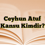 Ceyhun Atuf Kansu Kimdir?